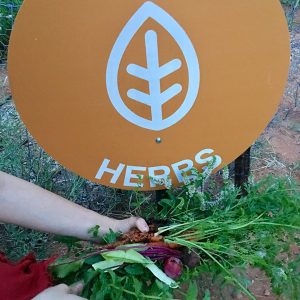 we have herbs